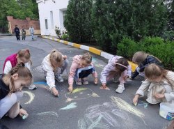 img (5)